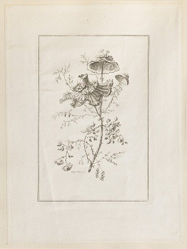 Print