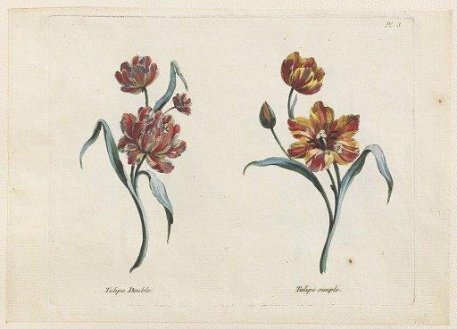 Print
