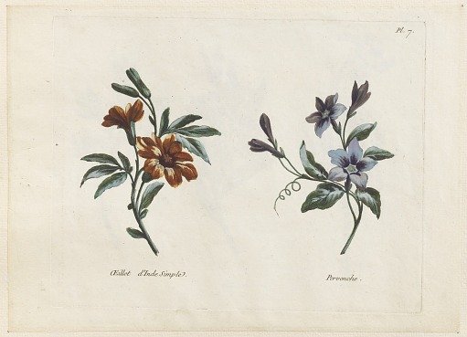 Print