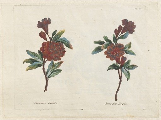 Print