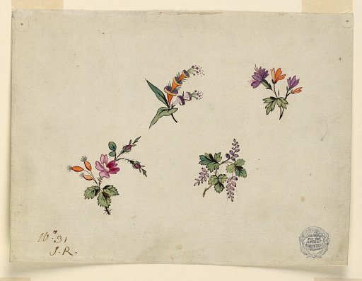 Design for the Embroidery of Wearing Apparel, No. 31, of the "Fabrique de St. Ruf"
