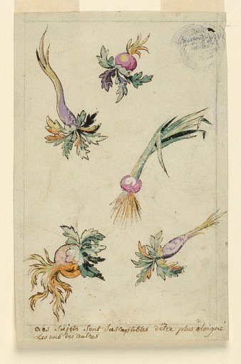 Design for the Embroidery Field of a Man's Coat of the "Fabrique de St. Ruf"