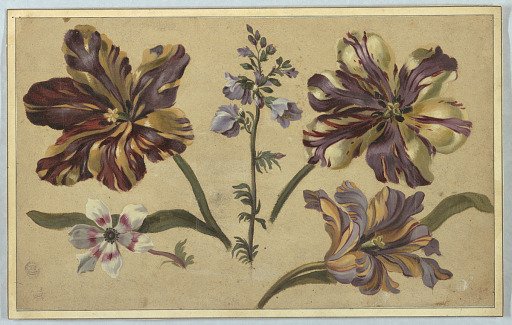 Various Florals