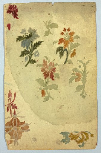 Studies of Florals and Floral Motifs