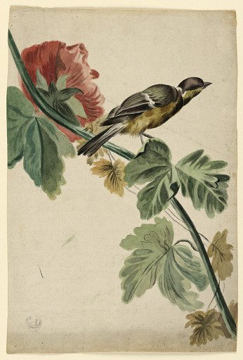 Design for a Woven Fabric