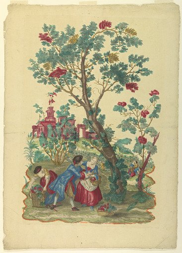 Gathering grapes