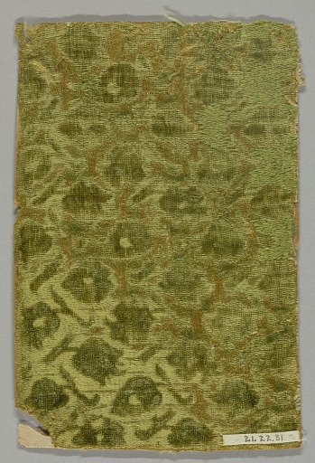 Fragment