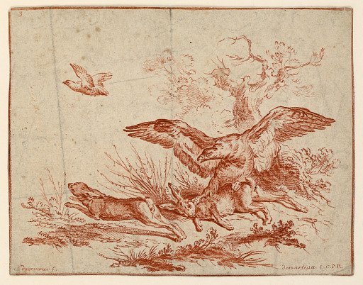 Vulture Killing a Hare