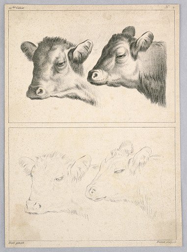 Two Cow Heads, Plate no. 2 from the 12me Cahier d'etudes