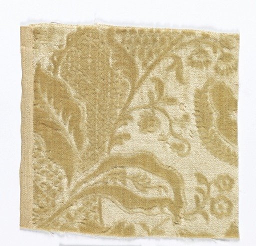 Fragment