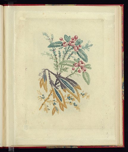 Ornamental Design with Small Red Flowers and Berries, from Nouvelle suite de cahiers de flerurs naturelle a l'usage des dessinateurs et des peintres, No.1
