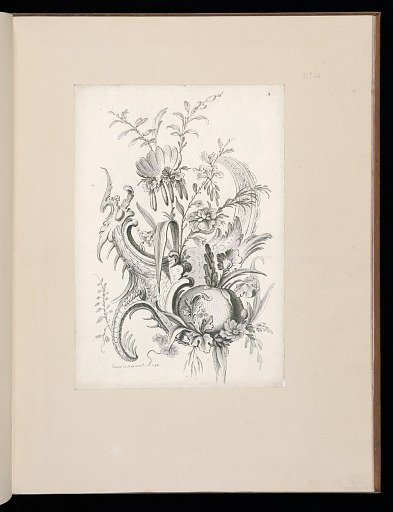 Floral and Rocaille Ornament Design