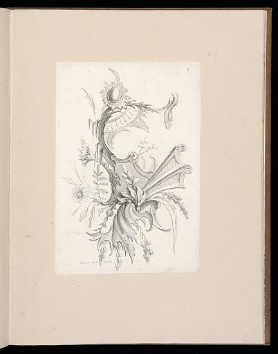 Floral Ornament Design