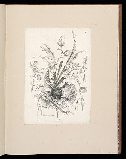 Floral Ornament Design