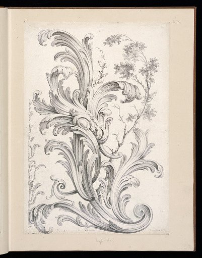 Acanthus Leaf Ornament Design