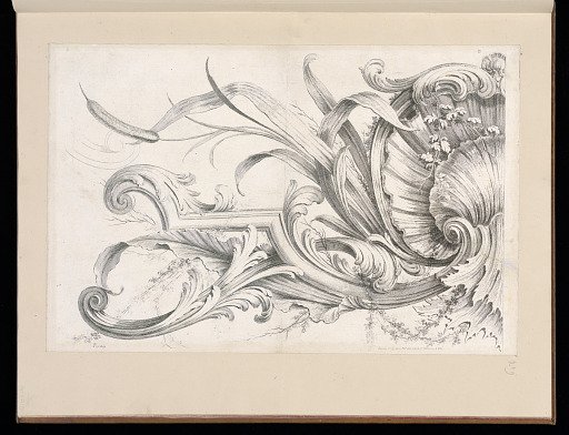 Shell Ornament Design