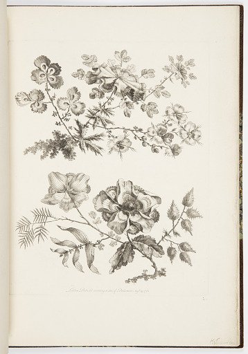 Designs for Chinoiserie Flowers