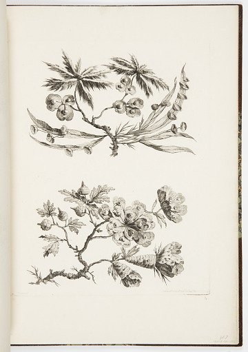 Designs for Chinoiserie Flowers