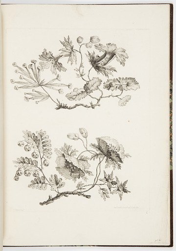Designs for Chinoiserie Flowers