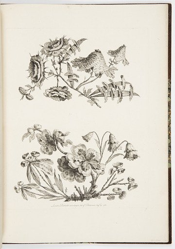 Designs for Chinoiserie Flowers