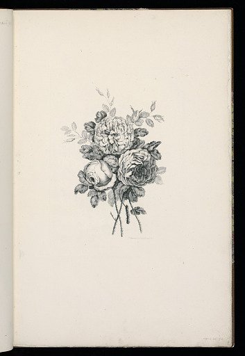A Bouquet of Flowers
