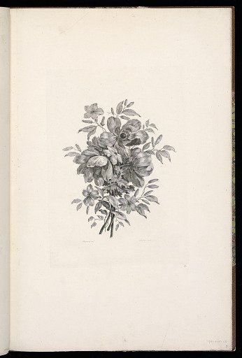 A Bouquet of Flowers