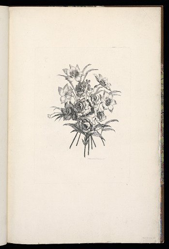 A Bouquet of Flowers