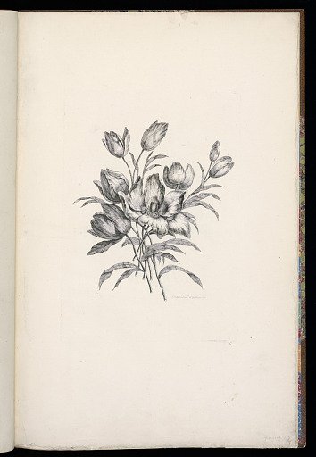 A Bouquet of Flowers