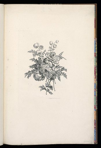A Bouquet of Flowers
