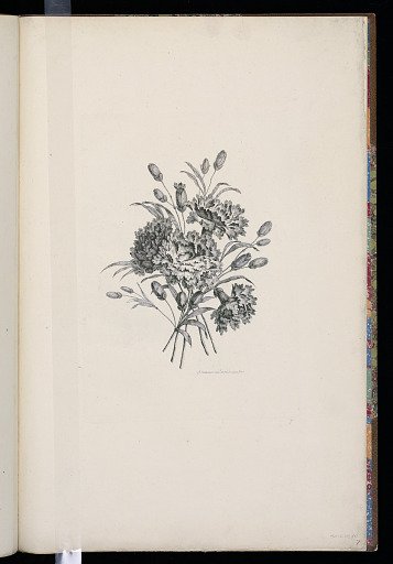 A Bouquet of Flowers