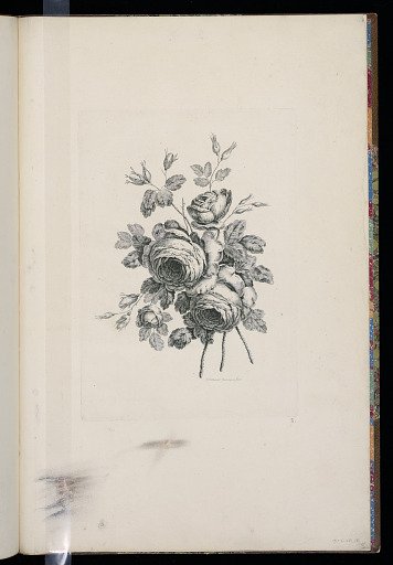 A Bouquet of Flowers