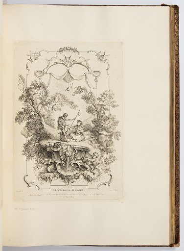 LA PELLERINE ALTERÉE