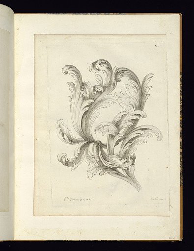 Ornament Design