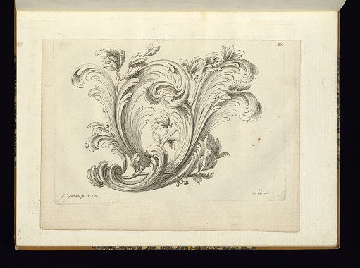 Design for Ornament