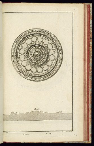 Rosette Design for a Ceiling