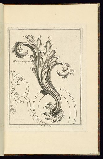 Fleuron rampant