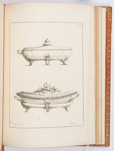 Terrines
