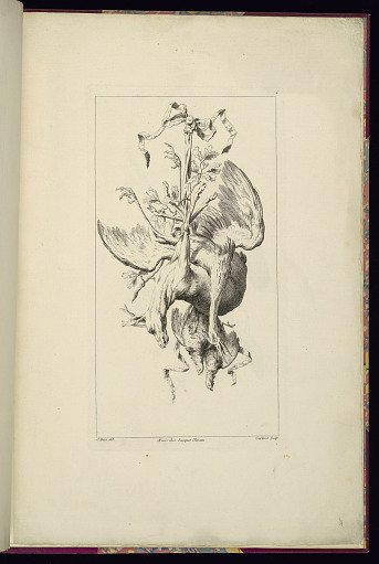 Hunting Trophy