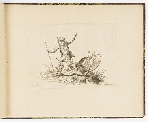 L'OISEAU DE PROYE