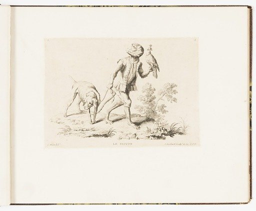 LE FAUCON
