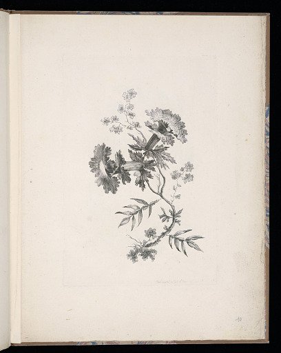 Spray of Flowers