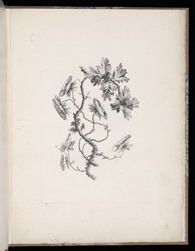 Spray of Flowers