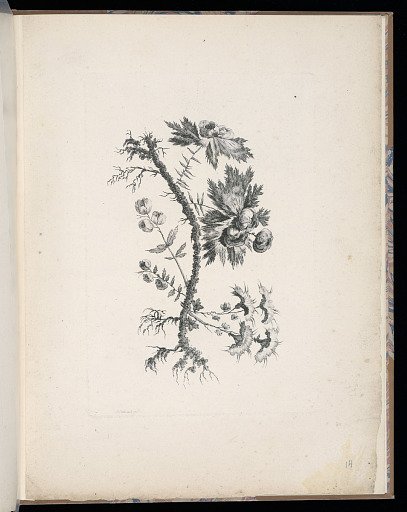 Spray of Flowers