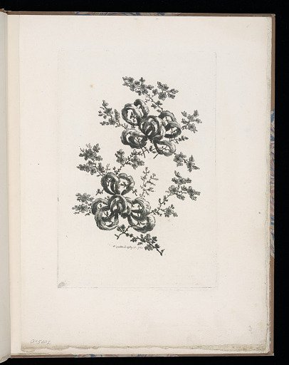 Spray of Flowers