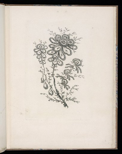 Spray of Flowers