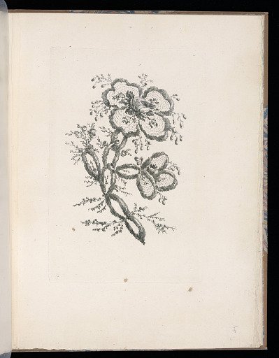 Spray of Flowers