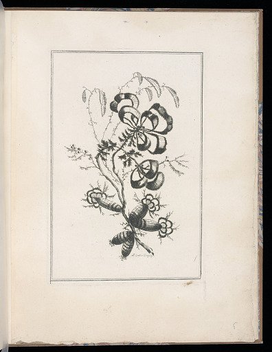 Spray of Flowers