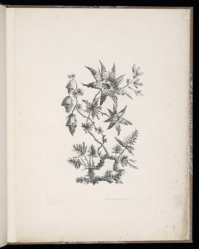 Spray of Flowers