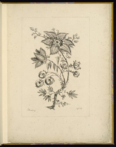 Design for Chinoiserie Flowers