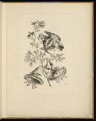 Design for Chinoiserie Flowers